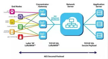 LoRaWAN 让万物互联的“隐形桥梁”与其在互联网数据服务中的关键角色